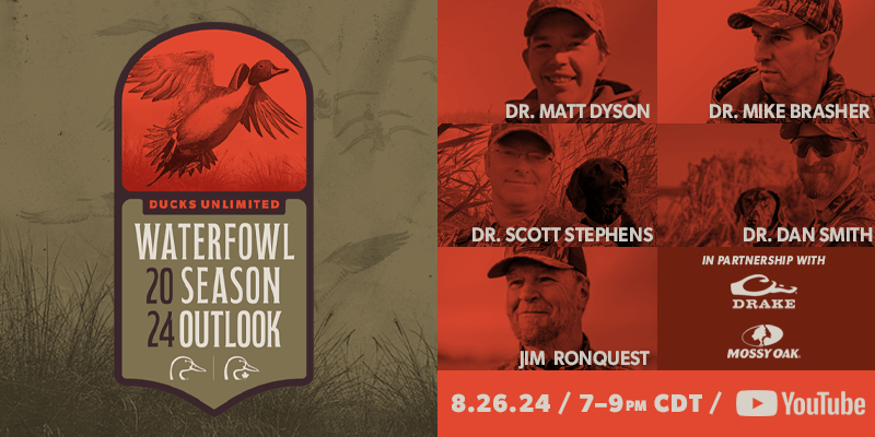 DU WSO 2024 800X400.png